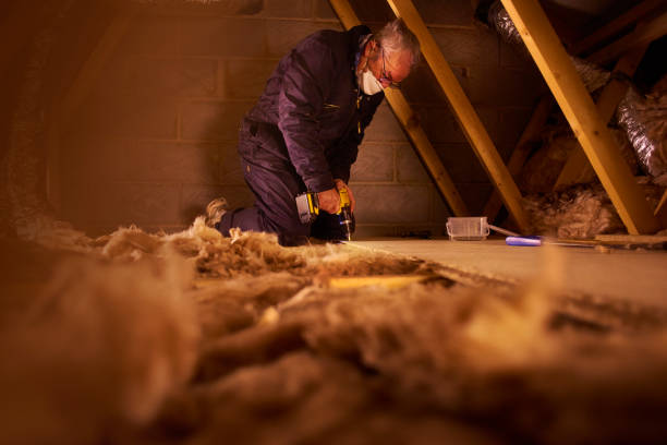 Best Insulation Maintenance and Repair in Fountainhead Orchard Hills, MD